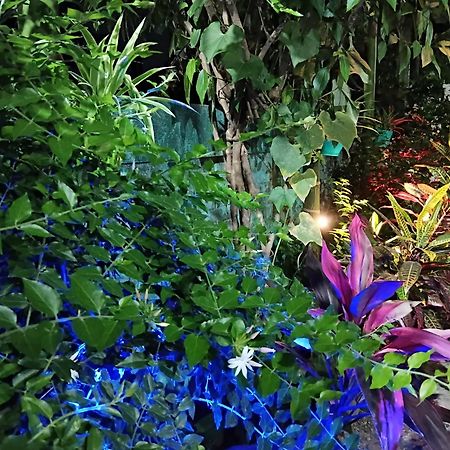 Green View Homestay Siliguri Extérieur photo