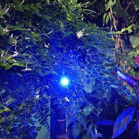 Green View Homestay Siliguri Extérieur photo