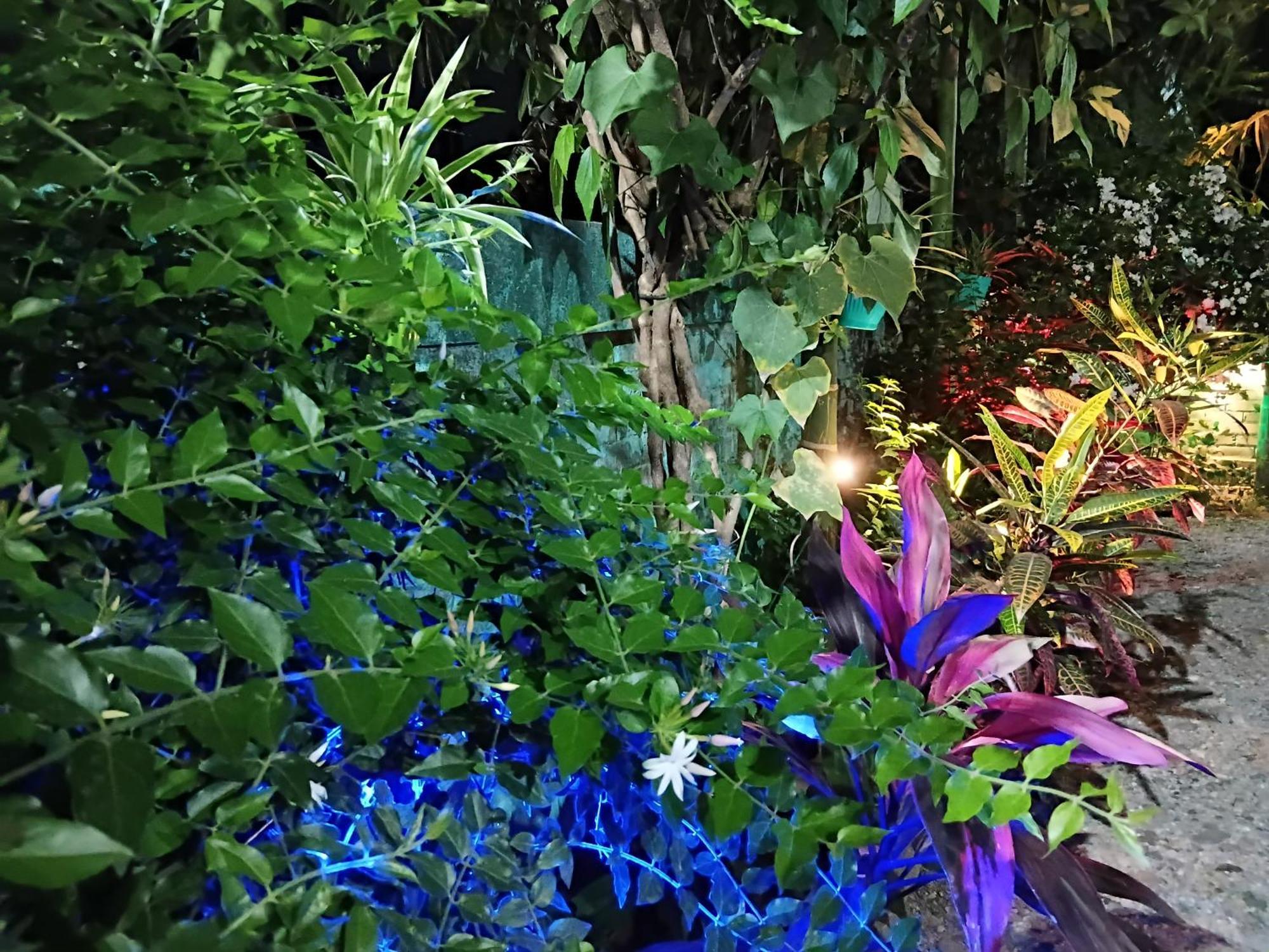 Green View Homestay Siliguri Extérieur photo